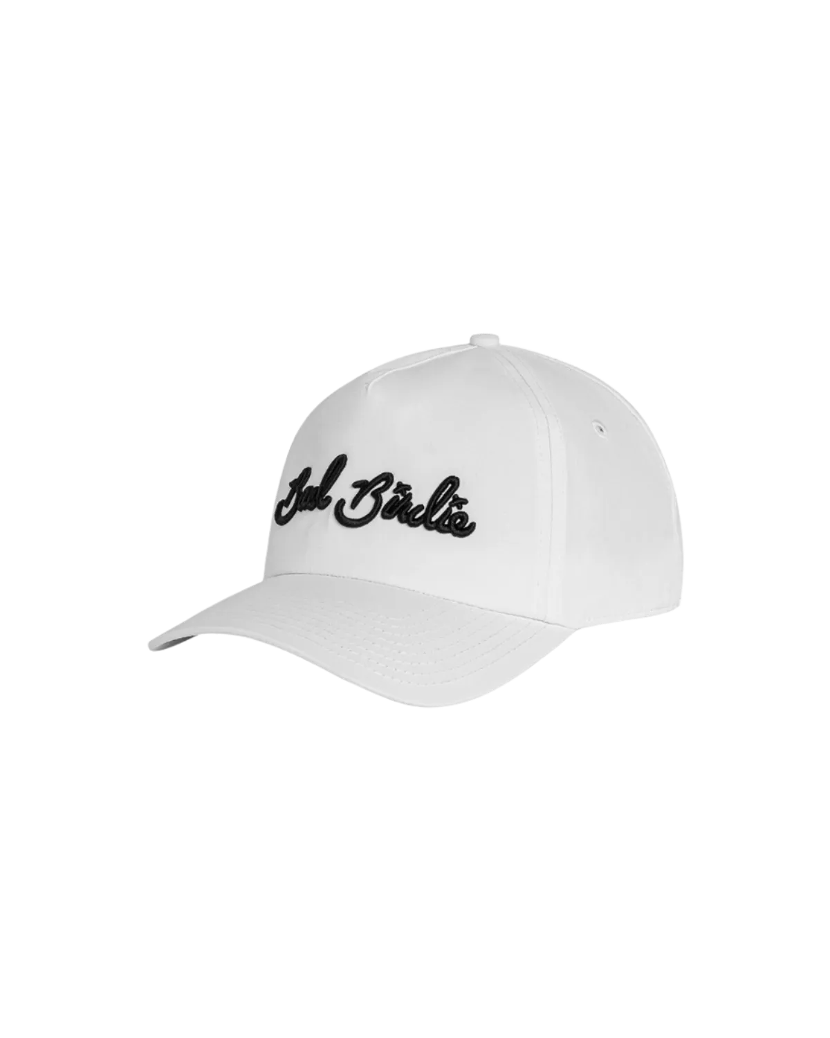 Bad Birdie - Script Hat