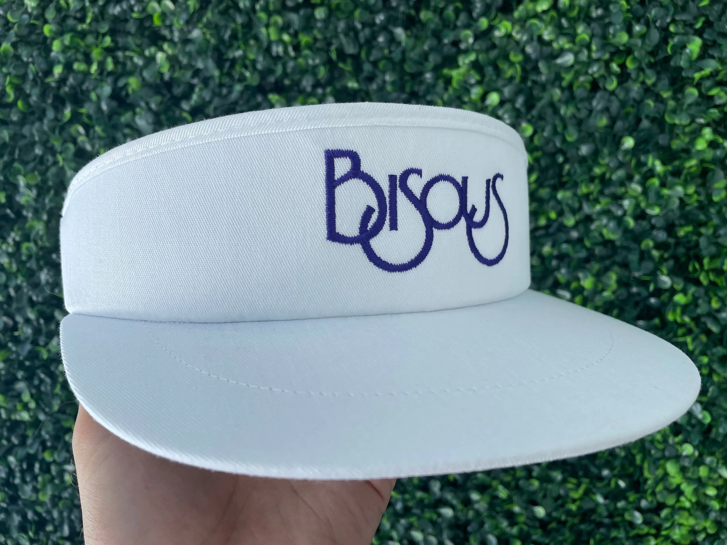 Bisous Visor