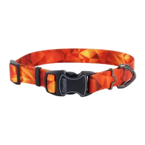 Inspire Adjustable Fashion Dog Collar