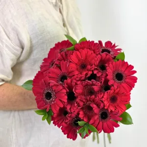 Ruby Red Gerbera Bouquet