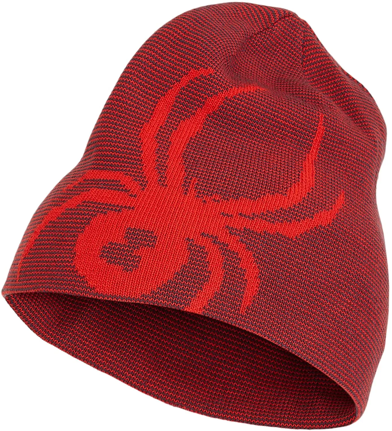 Spyder Men's Reversible Innsbruck Hat