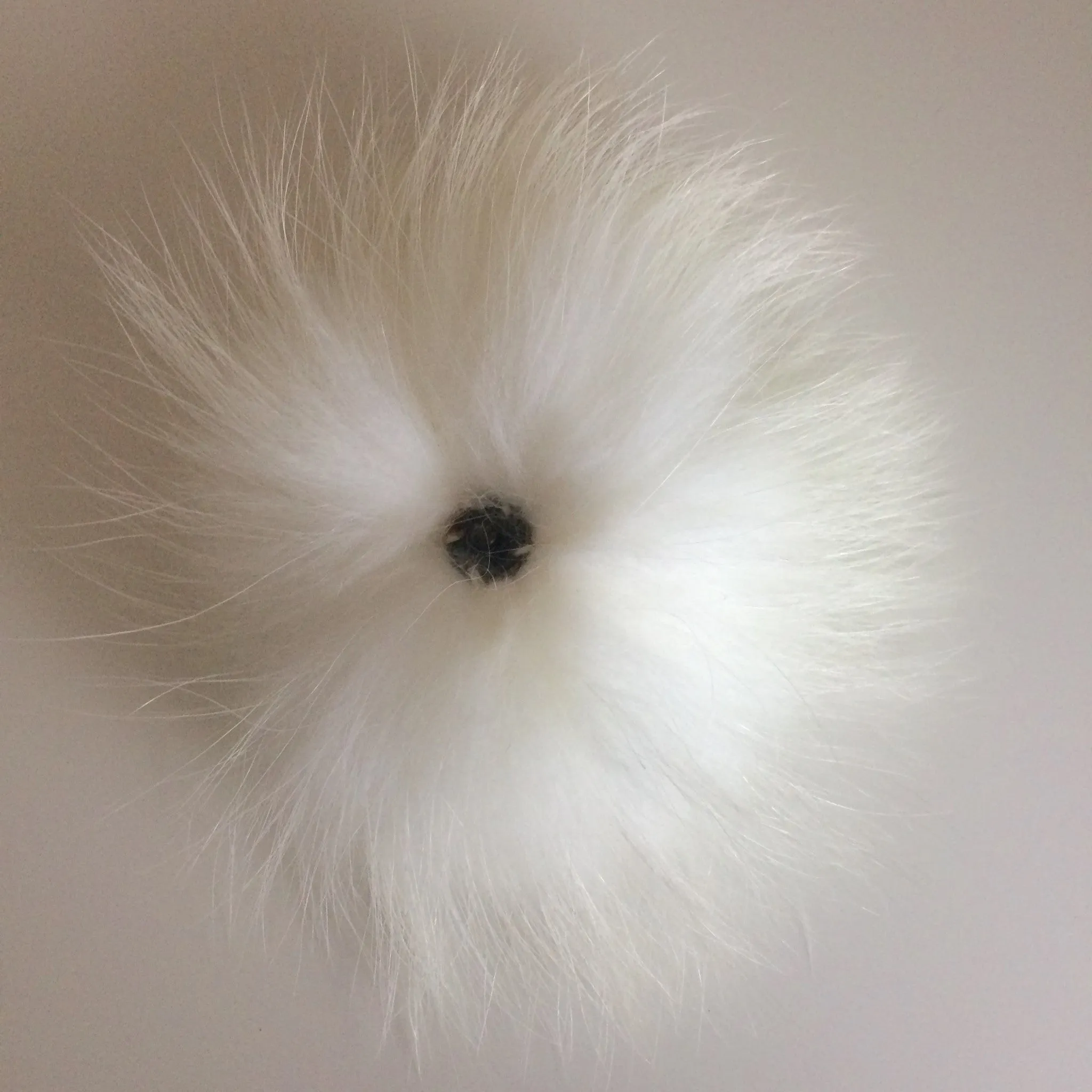 White Pom Pom